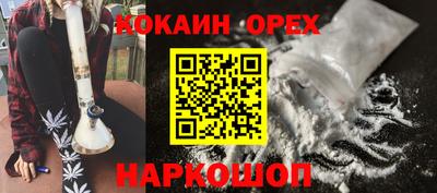 крисы Кингисепп