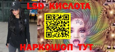 крисы Кингисепп