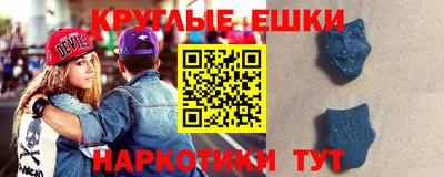 крисы Кингисепп