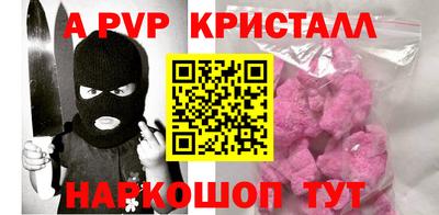 крисы Кингисепп