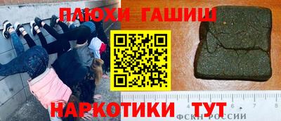 крисы Кингисепп