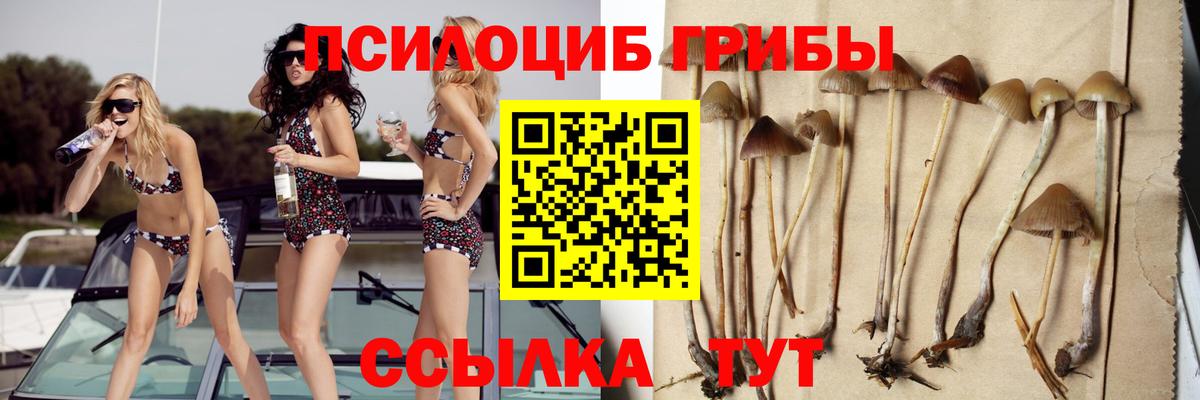 продажа наркотиков  Вход с VPN  Йошкар-Ола  Псилоцибиновые грибы MAGIC MUSHROOMS 